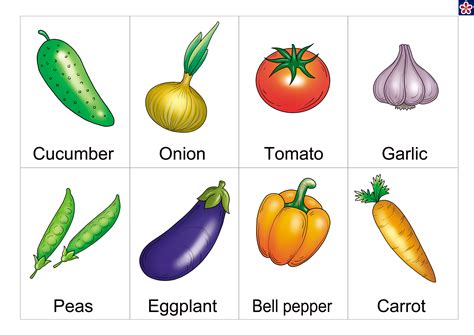 Free Printable Pictures Of Vegetables